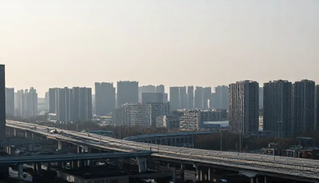 项目包括管理因素如何影响业务转型结果